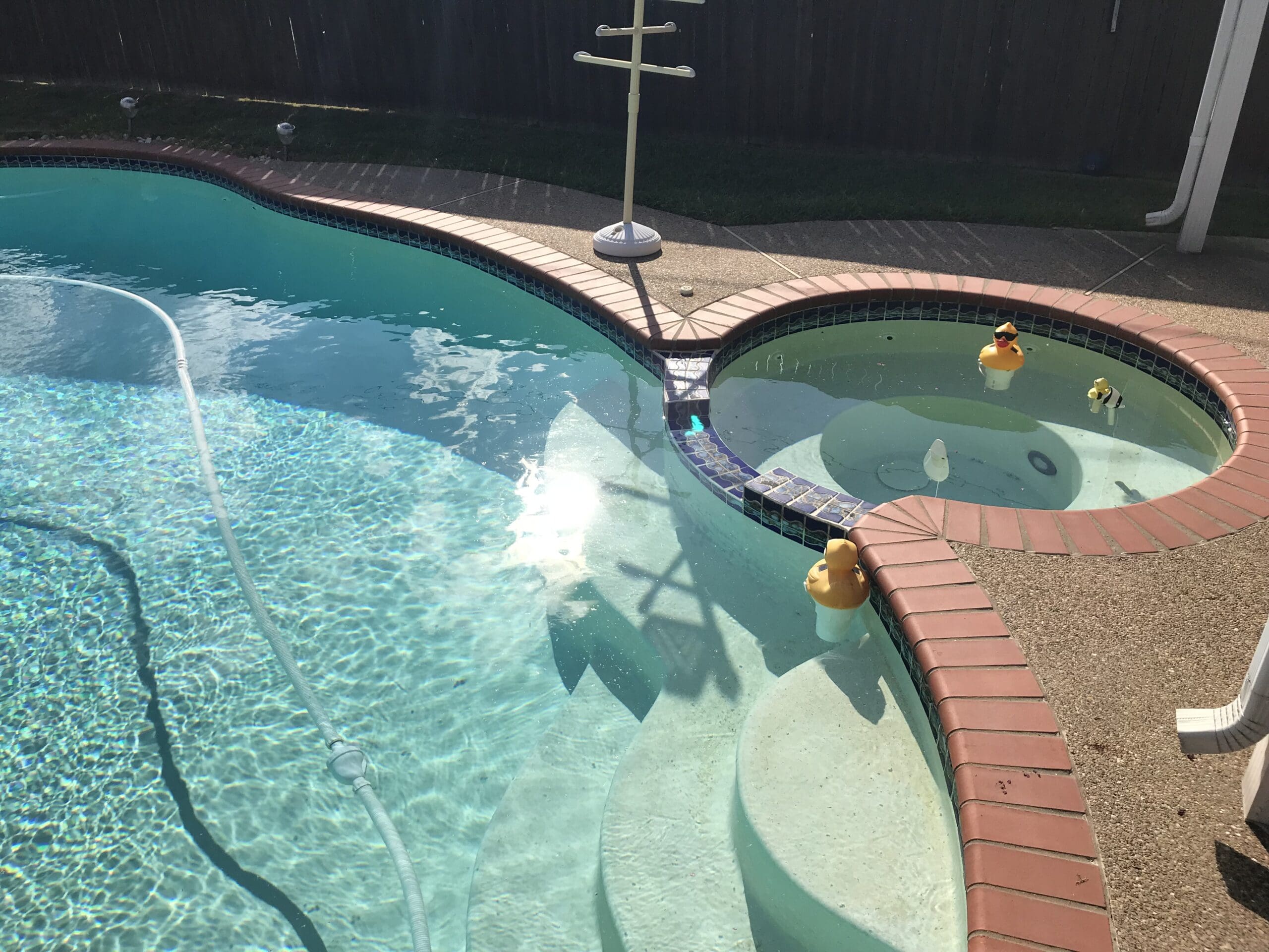 professional pool care service rockwall tx